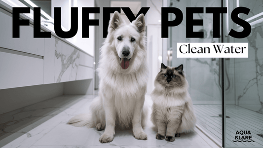 Fur and Filters: How Water Quality Affects Your Pet's Coat - AquaKlare